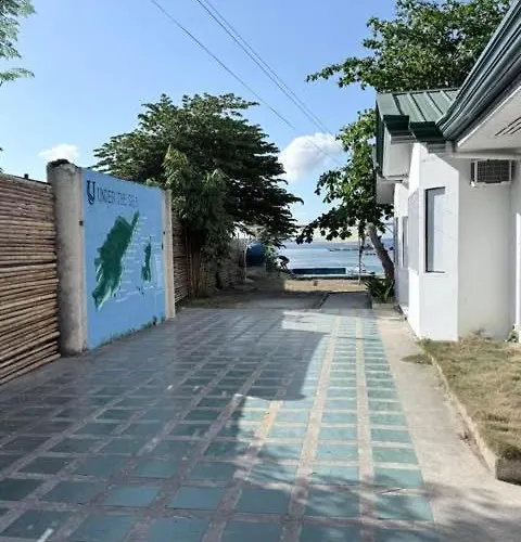 Under The Sea Diving